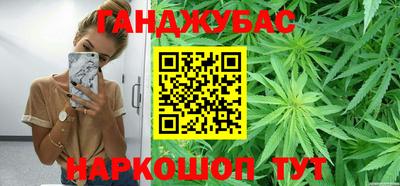 крисы Шахты