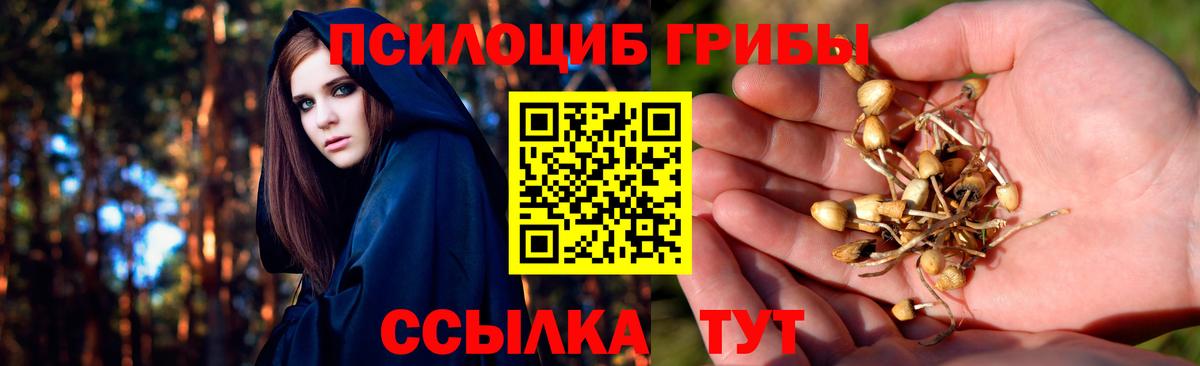 Псилоцибиновые грибы MAGIC MUSHROOMS  Вход с VPN  Всеволожск 